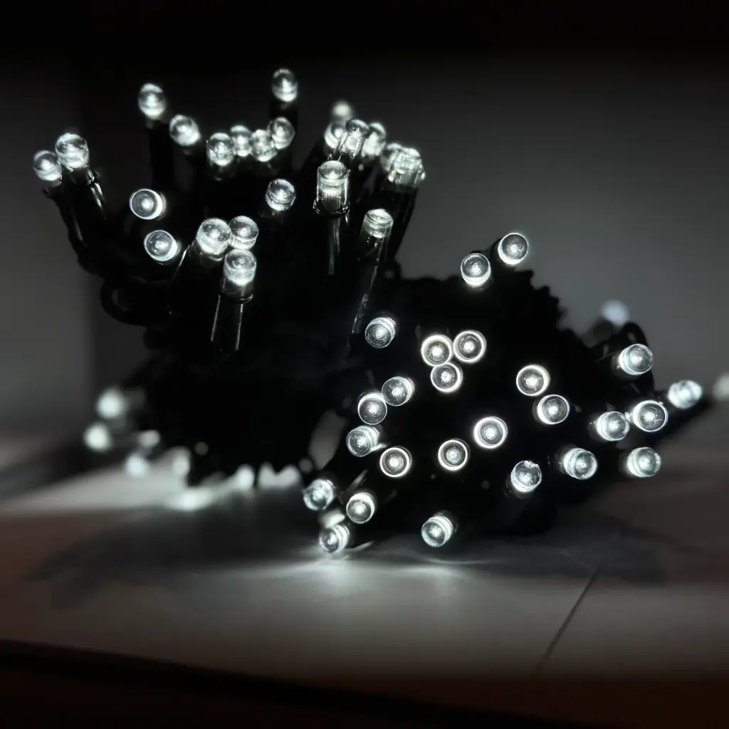 PROfesionali lempučių girlianda POLAMP, 10m (5+5), 100 LED, šaltai balta, juodu laidu, IP67