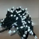 PROfesionali lempučių girlianda POLAMP, 10m (5+5), 100 LED, šaltai balta, žaliu laidu, IP67