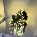 PROfesionali lempučių girlianda POLAMP, 10m (5+5), 100 LED, neutrali balta, žaliu laidu, IP67