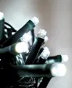 Lempučių girlianda POLAMP, 10m, 100 LED, šaltai balta, žaliu laidu, IP44