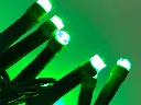 Lempučių girlianda POLAMP, 10m, 100 LED, žalia, žaliu laidu, IP44  