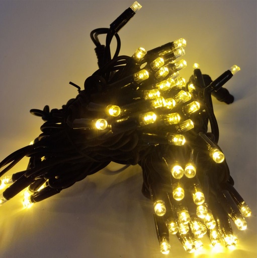 [POL-PLSL10M-WW-BL] PROfesionali lempučių girlianda POLAMP, 10m (5+5), 100 LED, šiltai balta, juodu laidu, IP67