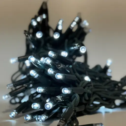 [POL-PLSLf10M-CW-G] PROfesionali FLASH lempučių girlianda POLAMP, 10m (5+5), 80+20 LED, šaltai balta, žaliu laidu, IP67