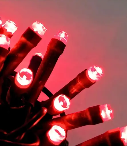 [POL-LSL10M-R-G] Lempučių girlianda POLAMP, 10m, 100 LED, raudona, žaliu laidu, IP44