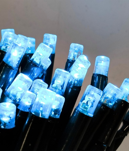 [POL-PLSL10M-SBLU-G] PROfesionali lempučių girlianda POLAMP, 10m (5+5), 100 LED, žydra, žaliu laidu, IP67